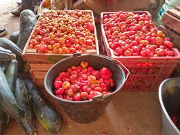 Condition de stockage des légumes sur les marchés. © V. Bancal